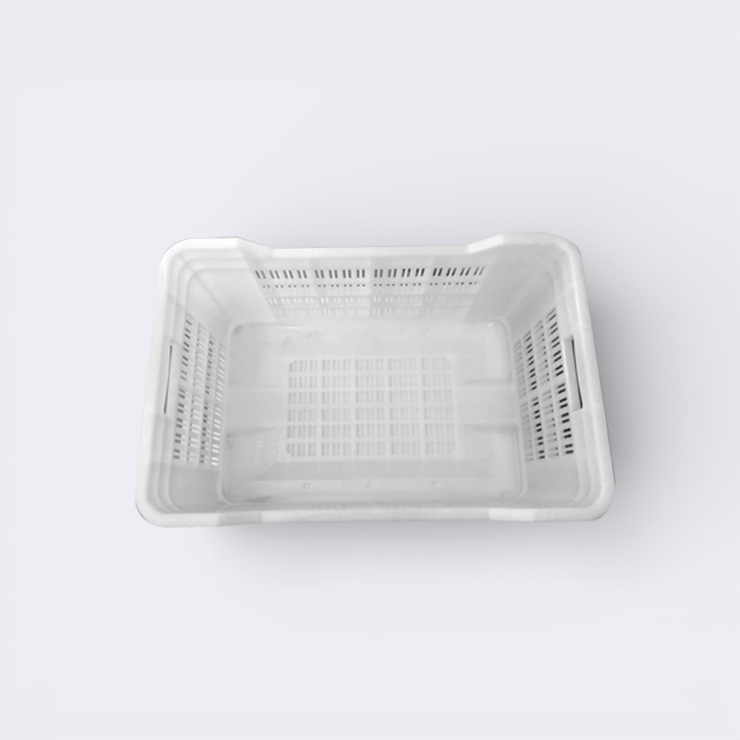 Copia de e5b21-blanco222222-Photoroom