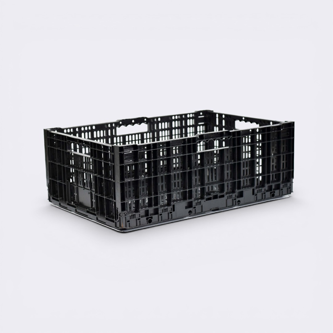Copia de plegable alto-Photoroom